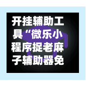 开挂辅助工具“微乐小程序捉老麻子辅助器免费”科技辅助神器手机版教程-第3张图片
