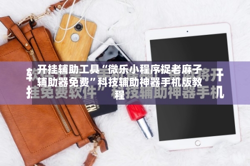 开挂辅助工具“微乐小程序捉老麻子辅助器免费”科技辅助神器手机版教程