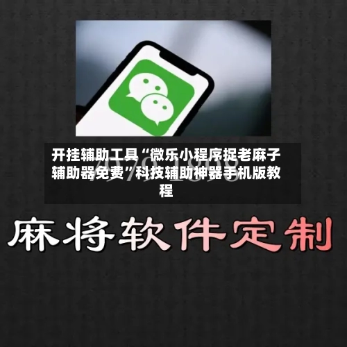 开挂辅助工具“微乐小程序捉老麻子辅助器免费”科技辅助神器手机版教程-第2张图片