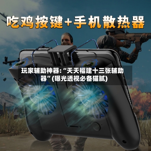 玩家辅助神器:“天天福建十三张辅助器”(曝光透视必备猫腻)