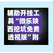 辅助开挂工具“微乐陕西挖坑免费透视版”附开挂脚本详细步骤