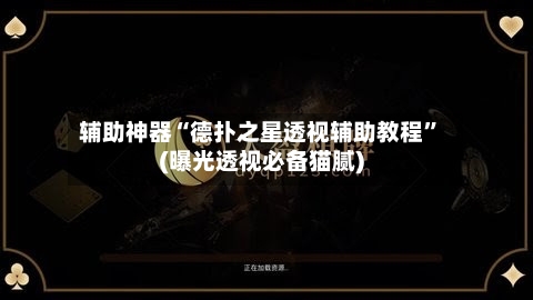 辅助神器“德扑之星透视辅助教程”(曝光透视必备猫腻)-第2张图片