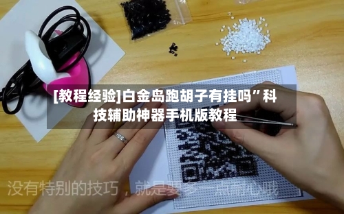 [教程经验]白金岛跑胡子有挂吗”科技辅助神器手机版教程-第2张图片