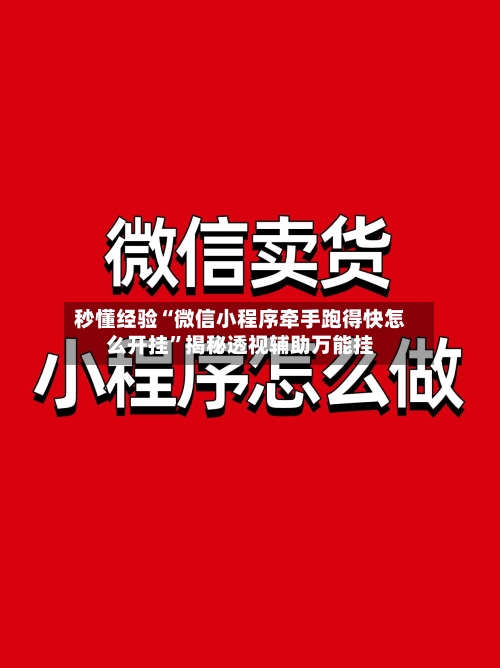 秒懂经验“微信小程序牵手跑得快怎么开挂”揭秘透视辅助万能挂