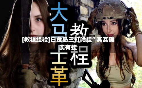 [教程经验]白金岛三打哈挂”其实确实有挂-第2张图片