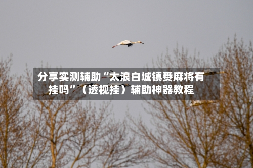 分享实测辅助“太浪白城镇赉麻将有挂吗”（透视挂）辅助神器教程