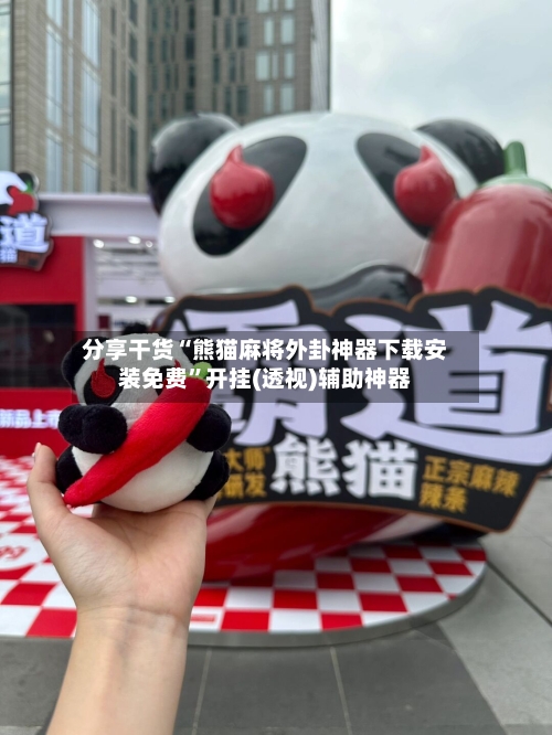 分享干货“熊猫麻将外卦神器下载安装免费	”开挂(透视)辅助神器-第3张图片