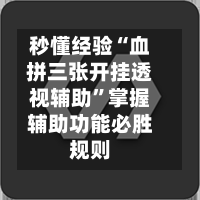 秒懂经验“血拼三张开挂透视辅助”掌握辅助功能必胜规则-第2张图片