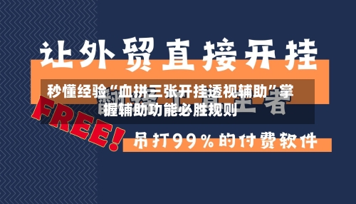 秒懂经验“血拼三张开挂透视辅助”掌握辅助功能必胜规则