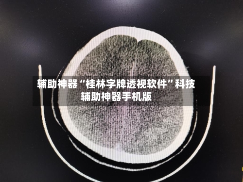 辅助神器“桂林字牌透视软件”科技辅助神器手机版-第2张图片