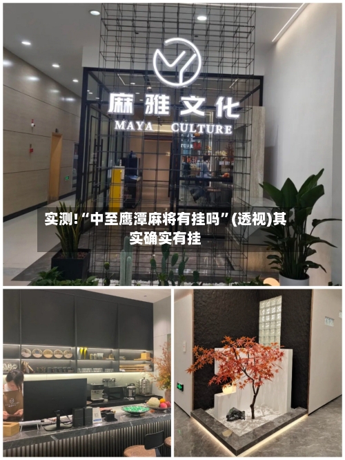 实测!“中至鹰潭麻将有挂吗	”(透视)其实确实有挂-第2张图片