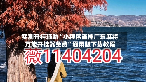 实测开挂辅助“小程序雀神广东麻将万能开挂器免费”通用版下载教程-第2张图片