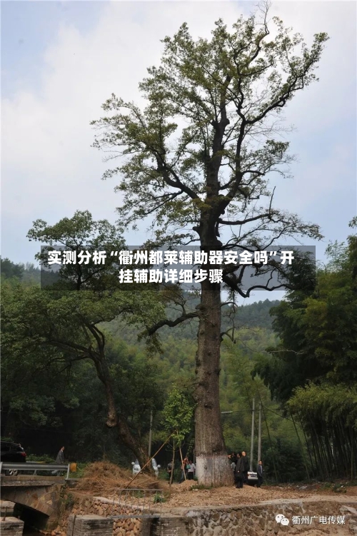 实测分析“衢州都莱辅助器安全吗”开挂辅助详细步骤