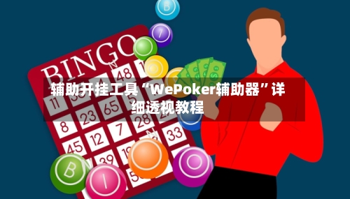 辅助开挂工具“WePoker辅助器”详细透视教程-第3张图片