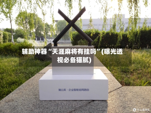 辅助神器“天涯麻将有挂吗”(曝光透视必备猫腻)-第3张图片