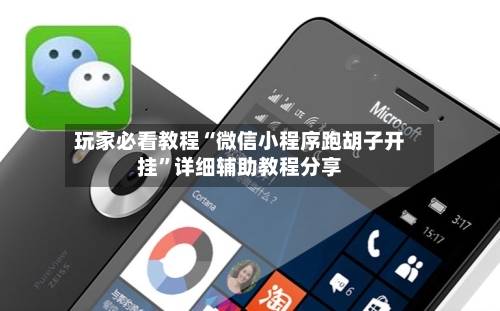 玩家必看教程“微信小程序跑胡子开挂	”详细辅助教程分享-第2张图片