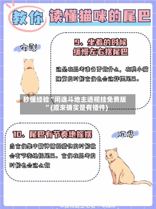 秒懂经验“闲逸斗地主透视挂免费版”(原来确实是有插件)-第3张图片