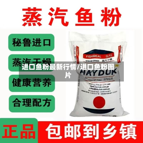 进口鱼粉最新行情/进口鱼粉图片