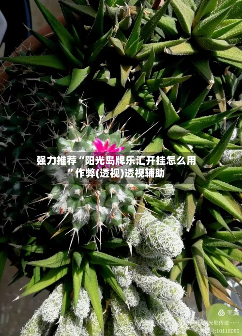 强力推荐“阳光岛牌乐汇开挂怎么用”作弊(透视)透视辅助