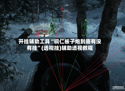 开挂辅助工具“铜仁板子炮到底有没有挂”(透视挂)辅助透视教程-第3张图片