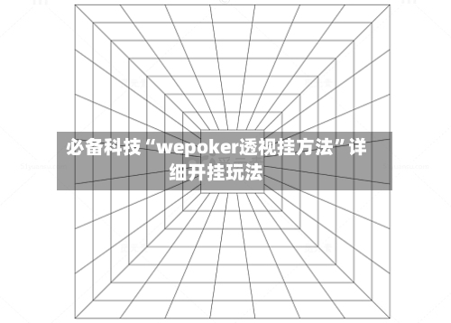 必备科技“wepoker透视挂方法”详细开挂玩法-第2张图片
