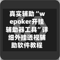 真实辅助“wepoker开挂辅助器工具”详细外挂透视辅助软件教程-第3张图片