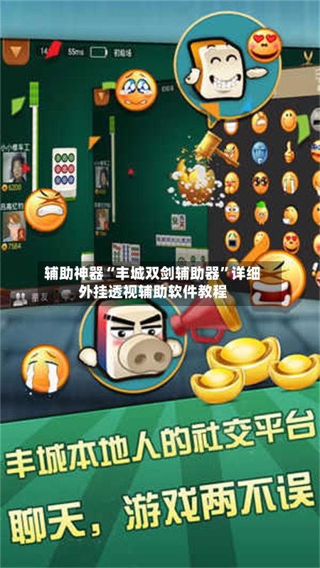 辅助神器“丰城双剑辅助器”详细外挂透视辅助软件教程-第2张图片