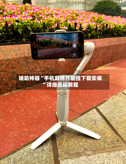 辅助神器“手机麻将万能挂下载安装”详细透视教程