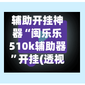 辅助开挂神器“闽乐乐510k辅助器”开挂(透视)辅助-第2张图片