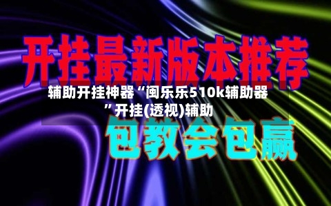 辅助开挂神器“闽乐乐510k辅助器	”开挂(透视)辅助-第3张图片