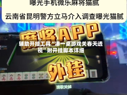 辅助开挂工具“凑一桌游戏关春天透视”附开挂脚本详细-第2张图片