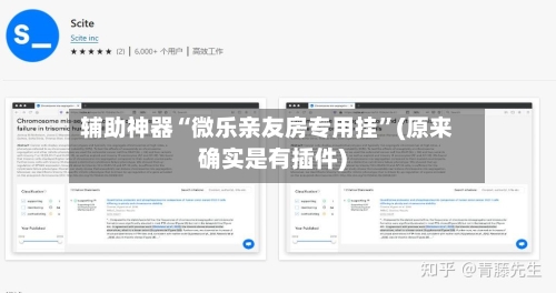 辅助神器“微乐亲友房专用挂”(原来确实是有插件)-第2张图片