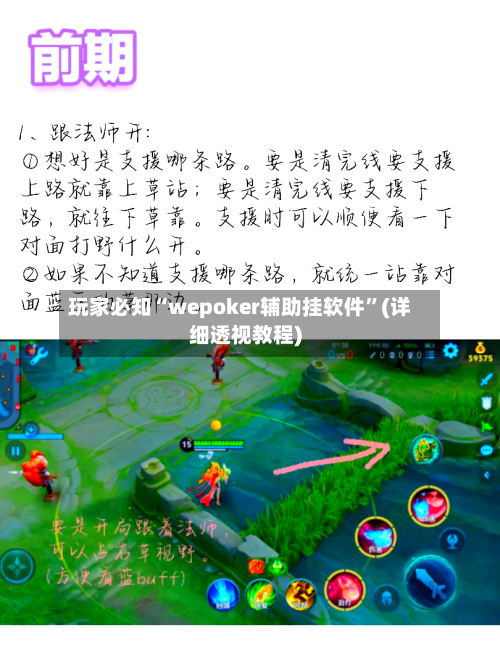 玩家必知“wepoker辅助挂软件”(详细透视教程)-第2张图片