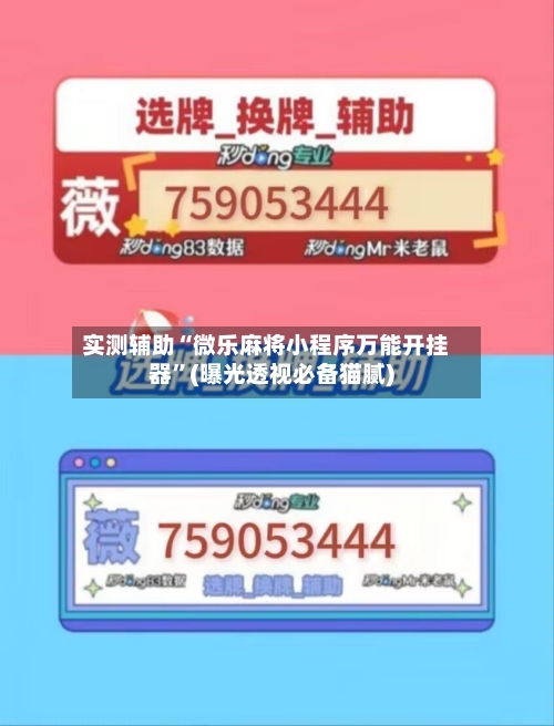 实测辅助“微乐麻将小程序万能开挂器”(曝光透视必备猫腻)-第2张图片