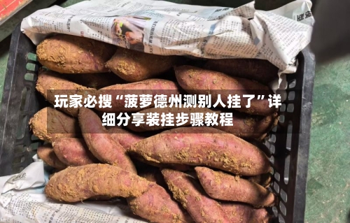 玩家必搜“菠萝德州测别人挂了”详细分享装挂步骤教程