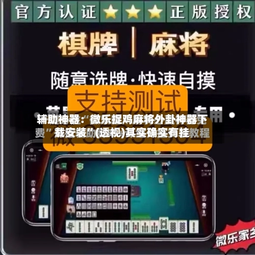辅助神器：微乐捉鸡麻将外卦神器下载安装”(透视)其实确实有挂-第3张图片