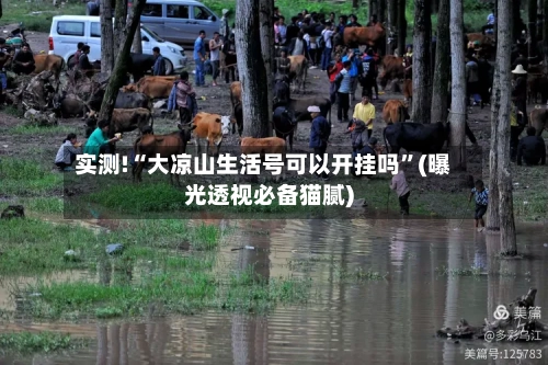 实测!“大凉山生活号可以开挂吗”(曝光透视必备猫腻)-第2张图片