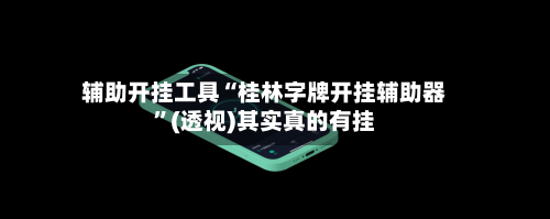 辅助开挂工具“桂林字牌开挂辅助器”(透视)其实真的有挂-第3张图片