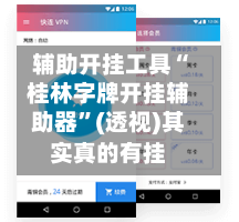 辅助开挂工具“桂林字牌开挂辅助器”(透视)其实真的有挂-第2张图片