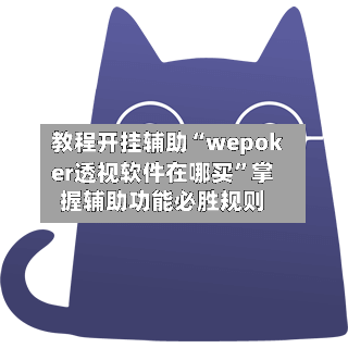教程开挂辅助“wepoker透视软件在哪买”掌握辅助功能必胜规则-第3张图片