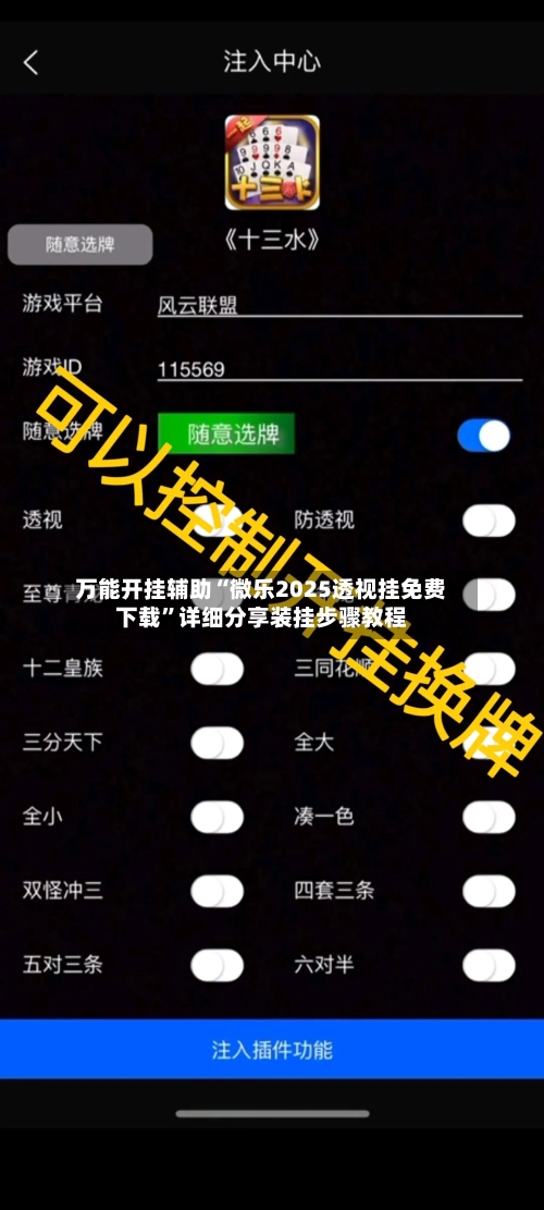 万能开挂辅助“微乐2025透视挂免费下载”详细分享装挂步骤教程-第2张图片