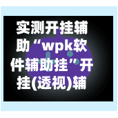 实测开挂辅助“wpk软件辅助挂”开挂(透视)辅助教程-第3张图片