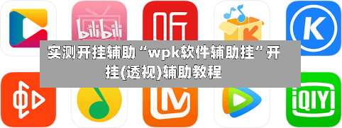 实测开挂辅助“wpk软件辅助挂”开挂(透视)辅助教程-第2张图片