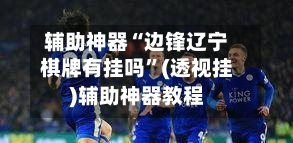 辅助神器“边锋辽宁棋牌有挂吗”(透视挂)辅助神器教程-第3张图片