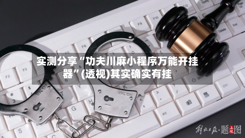 实测分享“功夫川麻小程序万能开挂器”(透视)其实确实有挂-第3张图片