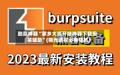 助赢神器“家乡大贰开挂神器下载安装辅助”(曝光透视必备猫腻)-第3张图片