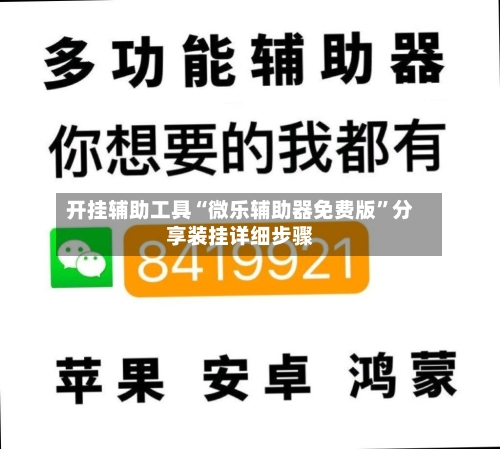 开挂辅助工具“微乐辅助器免费版	”分享装挂详细步骤-第3张图片