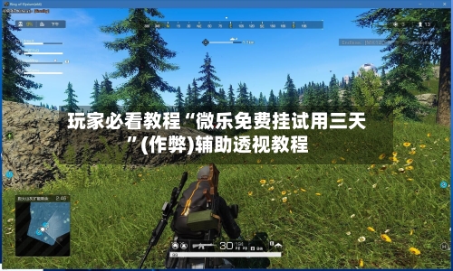 玩家必看教程“微乐免费挂试用三天”(作弊)辅助透视教程-第2张图片