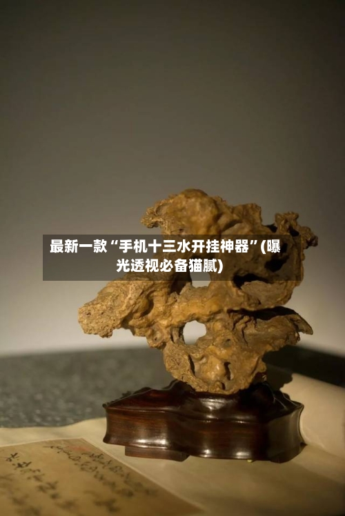 最新一款“手机十三水开挂神器”(曝光透视必备猫腻)