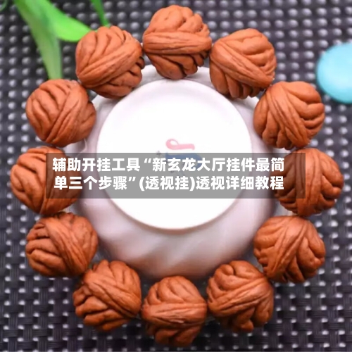 辅助开挂工具“新玄龙大厅挂件最简单三个步骤	”(透视挂)透视详细教程-第2张图片